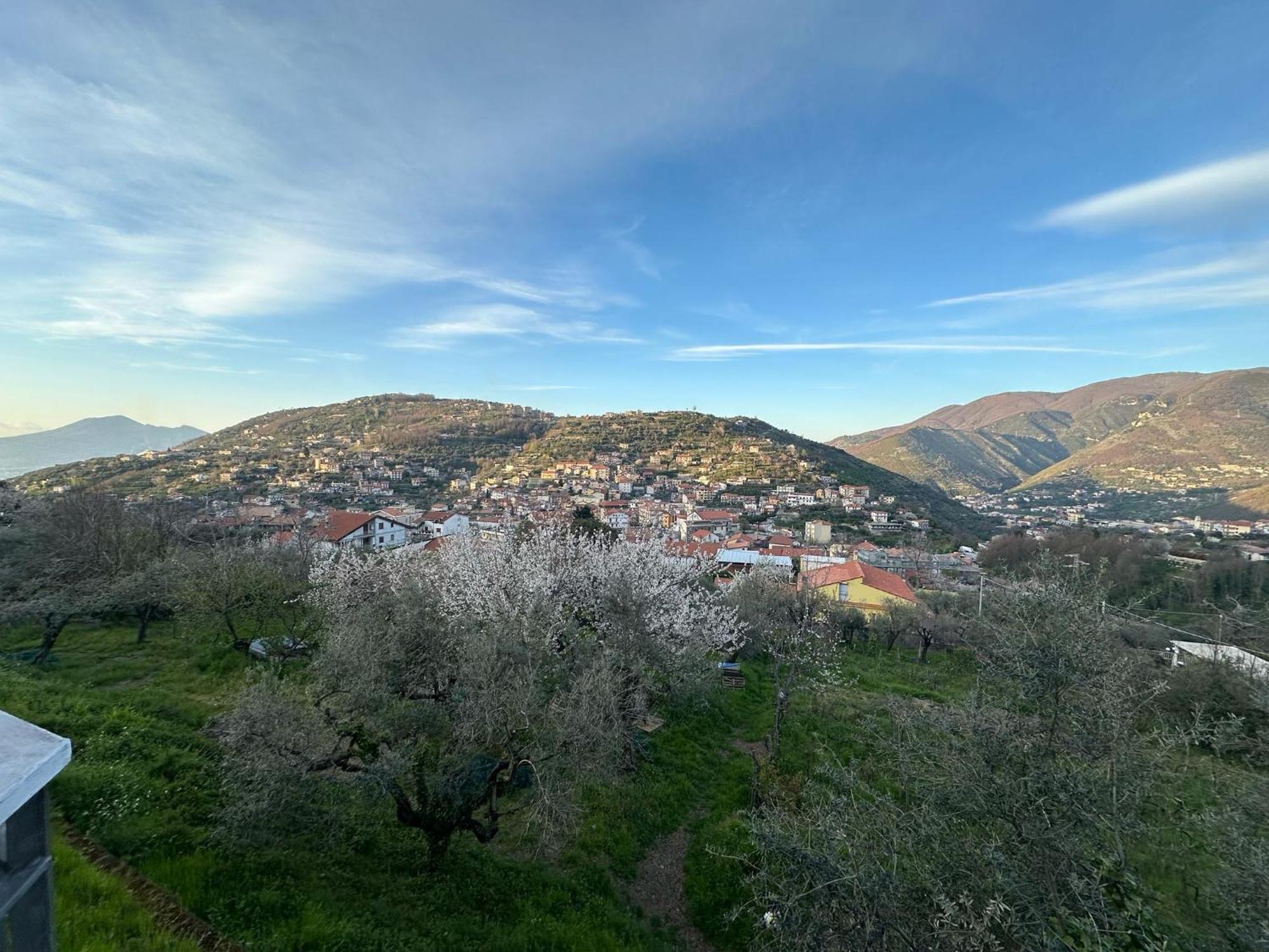 Bed And Breakfast Il Ceppo Wild Pimonte Exterior foto