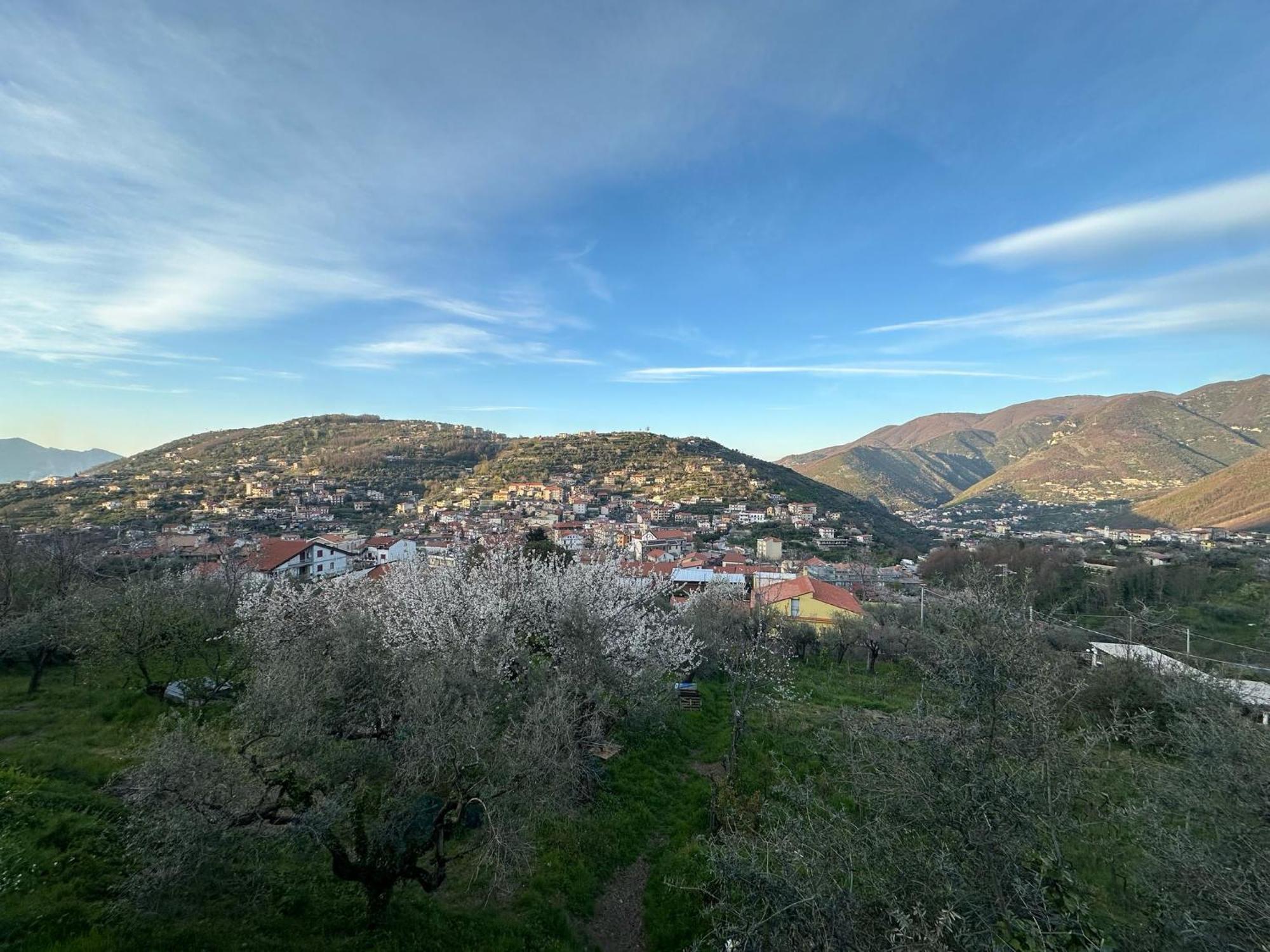 Bed And Breakfast Il Ceppo Wild Pimonte Exterior foto